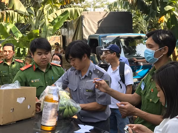 Chuối được phun hóa chất không rõ nguồn gốc chuẩn bị xuất bán.