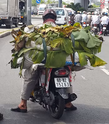 Lô heo thối dùng lá chuối ngụy trang bị bắt giữ tại cầu Chữ Y.