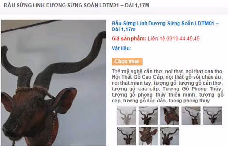 Lời chào bán sừng linh dương trên mạng. Lời chào bán sừng linh dương trên mạng.