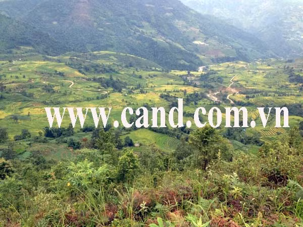 Khu vực nơi phát hiện nghi can Mờ. cán bộ Phòng PC45, Công an huyện Bát Xát truy