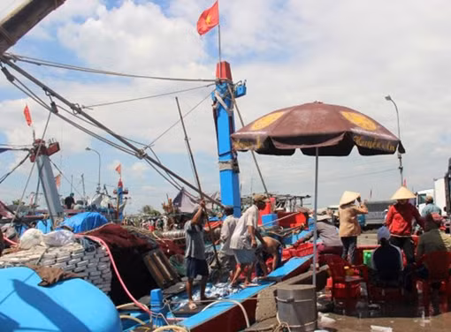 Nhiều tàu cá đánh bắt xa bờ phải “đắp chiếu” do thiếu lao động ảnh 2