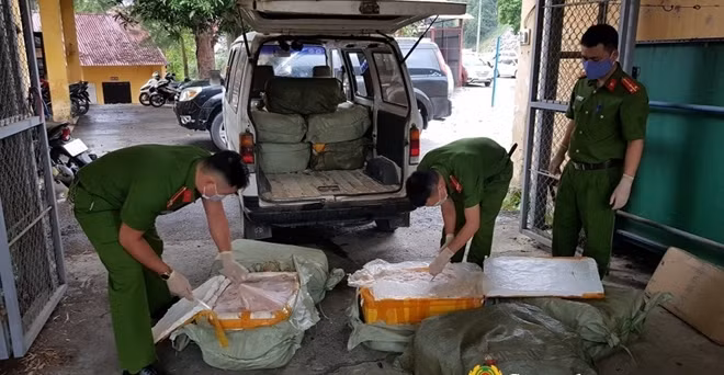600kg nầm lợn bị phân hủy, bốc mùi hôi thối được Phòng Cảnh sát kinh tê ëphát hiện thu giữ.