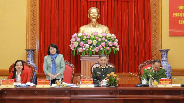 Phó Chủ tịch nước Đặng Thị Ngọc Thịnh phát biểu tại buổi làm việc.