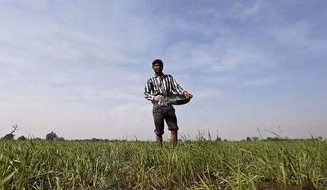 Nông dân Ấn Độ lo ngại hàng hóa của họ không thể cạnh tranh với các nước trong khu vực. Ảnh: The Week. Nông dân Ấn Độ lo ngại hàng hóa của họ không thể cạnh tranh với các nước trong khu vực. Ảnh: The Week.