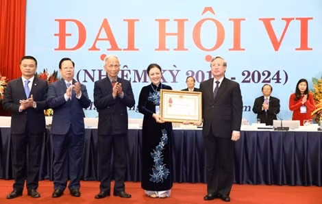 Phát huy hơn nữa vai trò nòng cốt của Liên hiệp Hữu nghị trong đối ngoại nhân dân