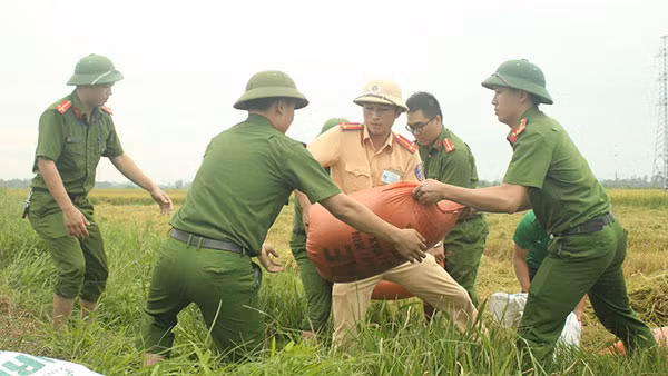 Cán bộ Công an Hà Tĩnh về vùng quê giúp bà con gặt lúa hè thu trước khi bão số 4 đổ bộ vào.
