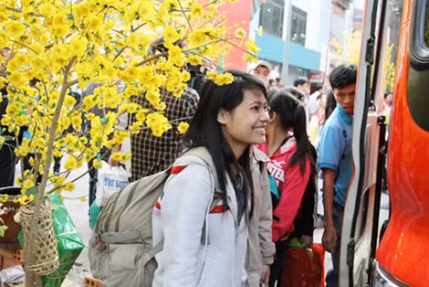 Các “Chuyến xe mùa xuân” sẽ đưa sinh viên, người lao động khó khăn về quê đón Tết.