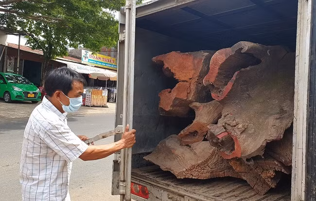 Xe thùng lạnh chở đầy gỗ quý.