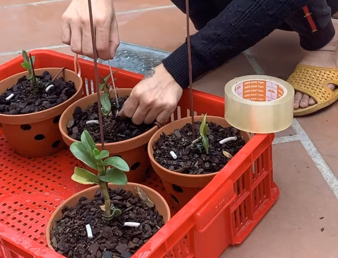 Tang vật của chuyên án