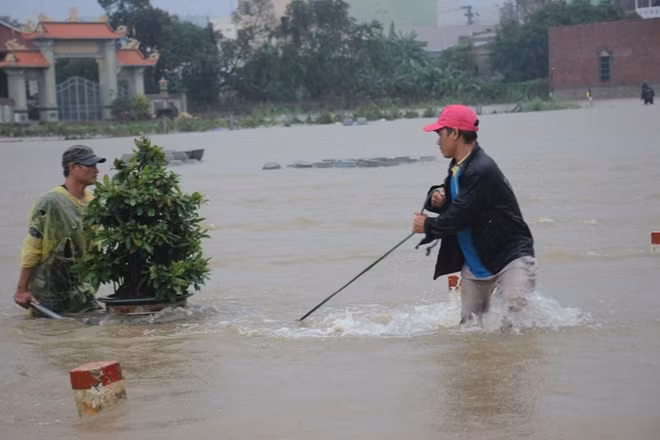 Kéo mai lên bờ