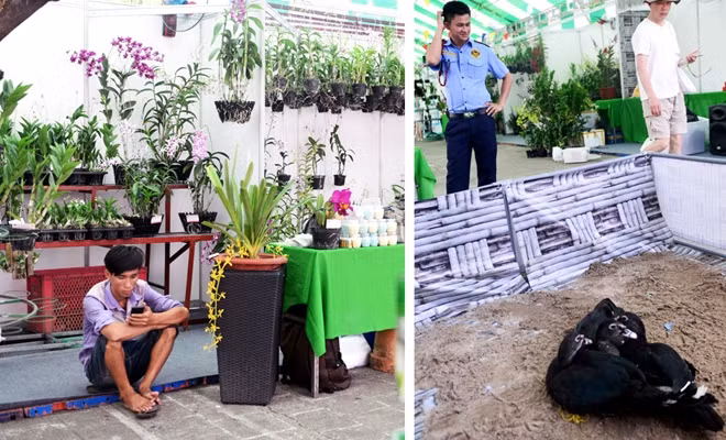 Khu vực bày bán cây cảnh và vui chơi giải trí
