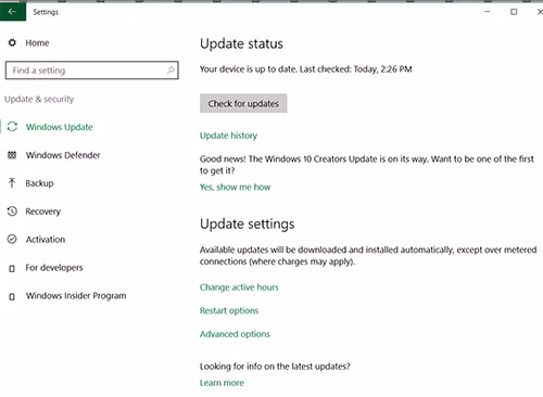 Người dùng cần tải bản cập nhật ngay cho Windows
