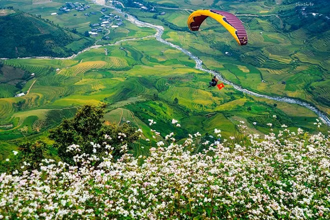 Vẻ đẹp quyến rũ của Mù Cang Chải đang là sức hấp dẫn "khó cưỡng" với du khách
