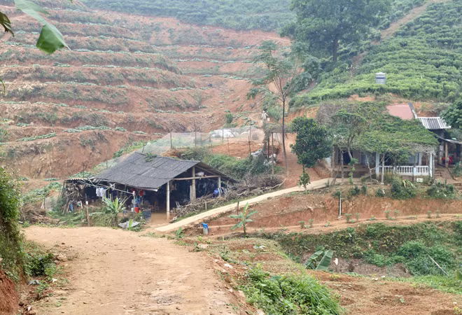 Một góc khu trồng trọt ở Trại giam Hồng Ca. Một góc khu trồng trọt ở Trại giam Hồng Ca.
