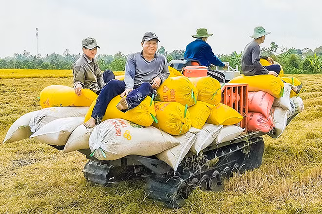 Nông dân miền Tây Nam Bộ phấn khởi do được mùa.
