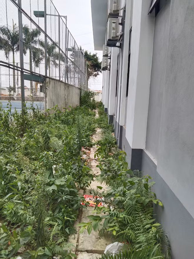 Bờ tường nơi Quý bán ma tuý.