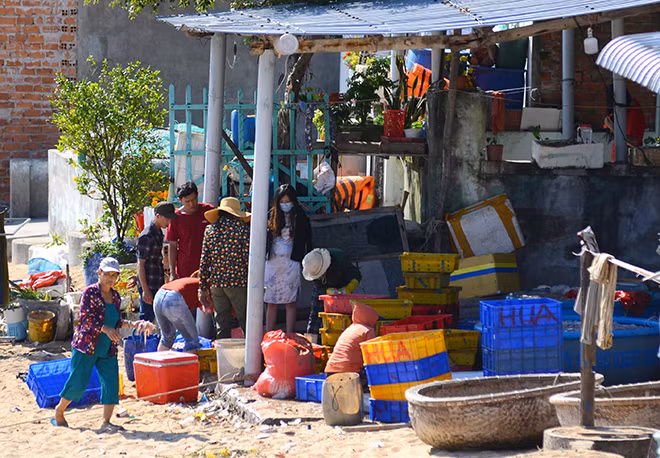 Vũng Rô đã phát huy thế mạnh của mình về kinh tế biển và du lịch. Nhiều người mừng với sự đổi thay như vậy ở vùng đất anh hùng này.