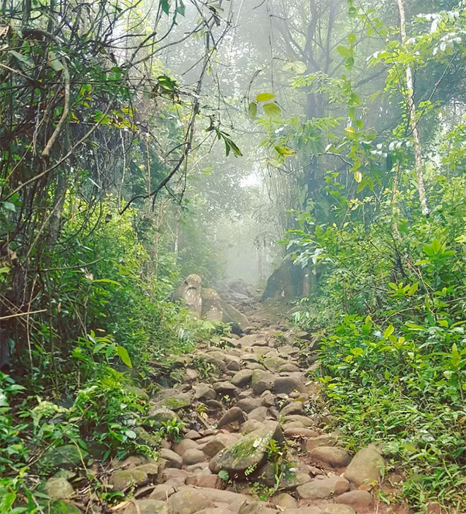 Ngoài phu khuân vác, Tám Thương còn là hướng dẫn viên trên những lối mòn trắc trở dẫn lên núi Bà Đen.