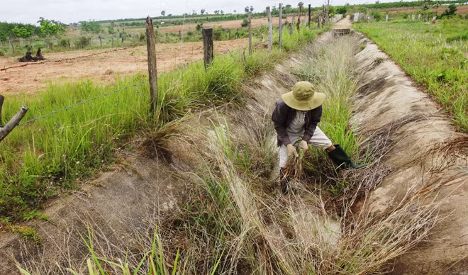 Kênh dẫn nước Hồ Ea Súp Thượng được đầu tư, xây dựng hơn 25 tỷ đồng nhưng bị bỏ hoang ngay sau khi hoàn thành. Kênh dẫn nước Hồ Ea Súp Thượng được đầu tư, xây dựng hơn 25 tỷ đồng nhưng bị bỏ hoang ngay sau khi hoàn thành.