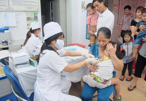 Sẽ sớm khắc phục tình trạng thiếu vaccine dịch vụ.