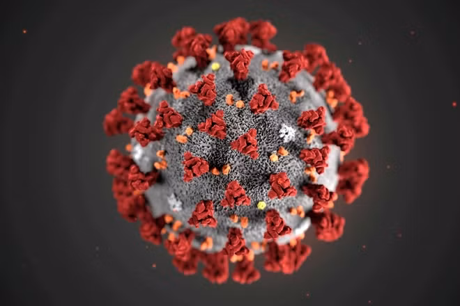 Theo giáo sư Lý Lan Quyên, sự đa dạng của virus Corona chủng mới đến từ khả năng đột biến của chúng vẫn chưa được đánh giá đúng mức. (Ảnh: Reuters)