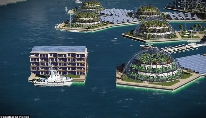 Tổ chức phi lợi nhuận Seasteading còn cho biết những thành phố nổi có thể là thử nghiệm cho những ý tưởng mới như tìm kiếm thức ăn trên biển, các dịch vụ chăm sóc người nghèo, chữa bệnh, làm sạch không khí, cải thiện môi trường sống.