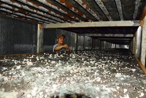 Xưởng sản xuất nấm của gia đình ông Tăng Thành Đức.