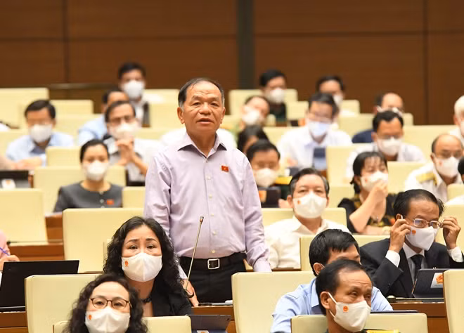 Đại biểu Lê Thanh Vân