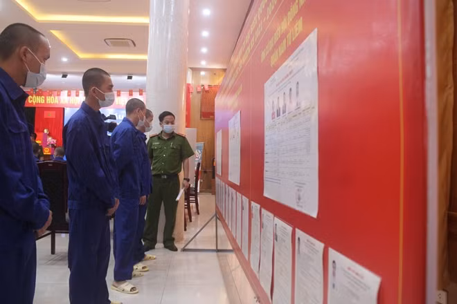 Người bị tạm giữ, tạm giam nghiên cứu lý lịch tóm tắt của các ứng cử viên