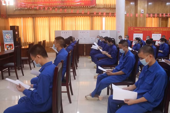 Người bị tạm giữ, tạm giam nghiên cứu quyền lợi bầu cử