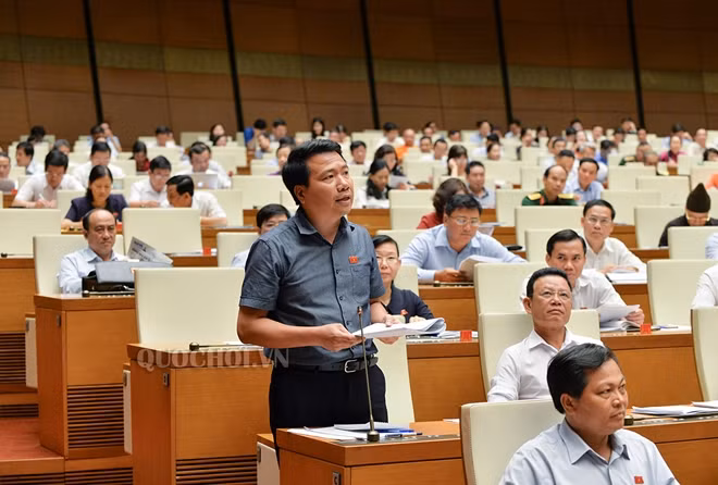 Đại biểu Ngô Trung Thành