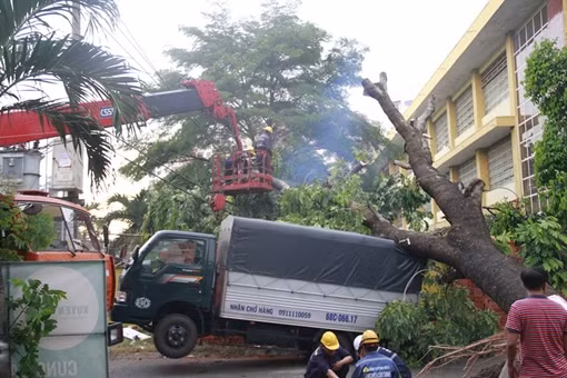 Cây đổ sập nhà, đè xe tải trong cơn giông
