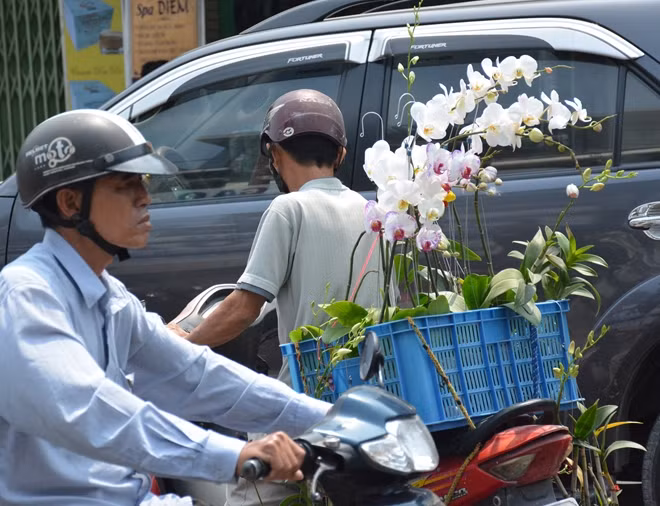 Cảnh giao hàng nhộn nhịp trên đường phố