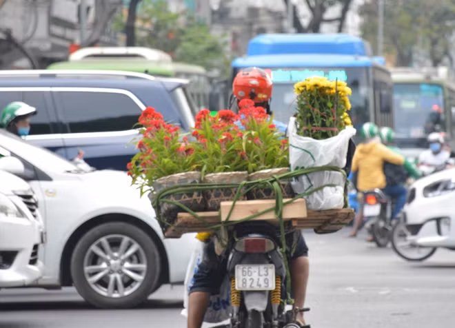 Để cho nhà cửa thêm xuân nhiều chậu hoa với giá tầm thấp được người dân lựa chọn