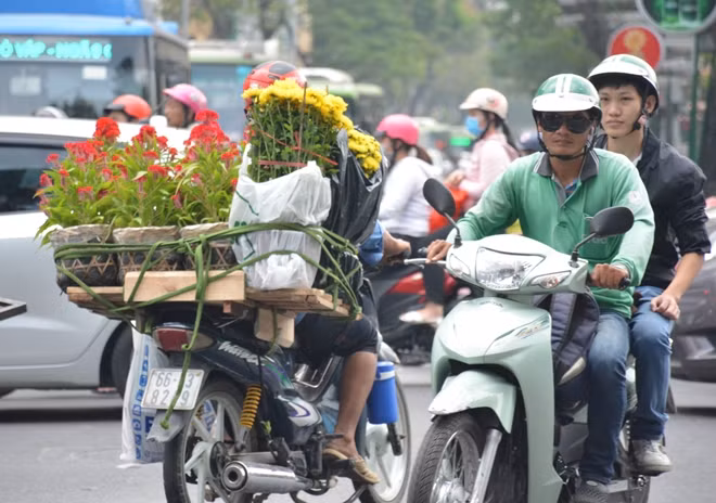 Hoa tràn ngập trên đường phố