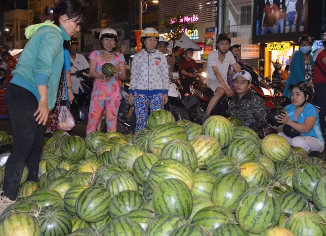 Nhiều người dân háo hức lựa chọn dưa hấu đem về nhà chưng tết