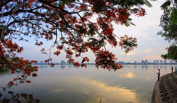 Nước hồ Tây đang có dấu hiệu bị ô nhiễm.