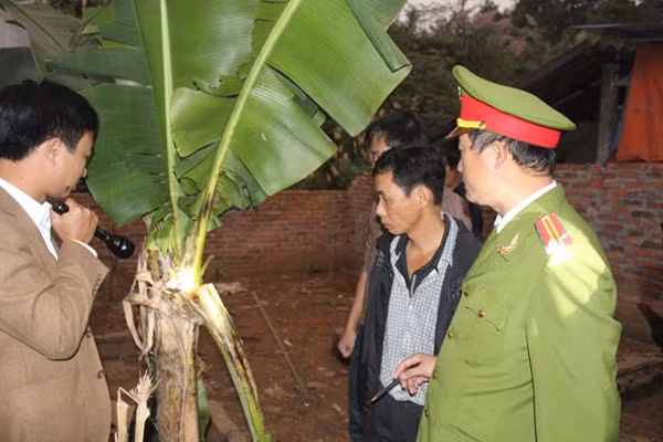 Công an tỉnh Thái Nguyên lật tẩy đối tượng giấu heroin trong bẹ cây chuối.