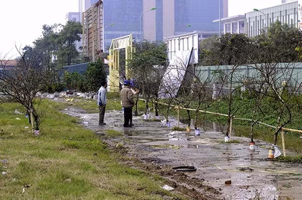 Đến hẹn lại lên, nhiều hội chợ cây cảnh được mở tại khắp các quận, huyện tại trung tâm Hà Nội. Tại chợ hoa đang được mở tại số 65 Hoàng Minh Giám, có rất nhiều cành đào rừng đang được bày bán.