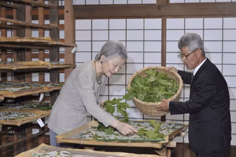 Ảnh: Theo cuốn Their Majesties the Emperor and Empress of Japan