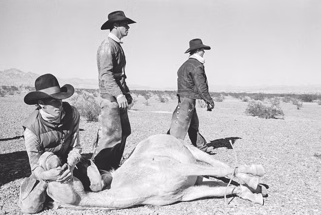 Chiến lợi phẩm của những thợ săn ngựa hoang trên sa mạc Arizona năm 1980. Thắt lưng to bản, mũ rộng vành, phong cách cao bồi là hình ảnh đậm chất Arizona.