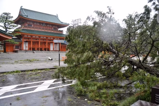 Japan Times ghi nhận hai trường hợp tử vong tại quận Shiga và quận Osaka, trong đó có một cụ ông bị gió thổi bay từ chung cư cao tầng, và một người đàn ông bị vùi lấp bên trong một nhà xưởng đổ sập do bão. Ảnh: Getty
