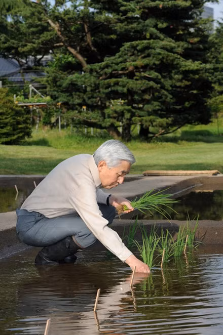 Ảnh: Theo cuốn Their Majesties the Emperor and Empress of Japan