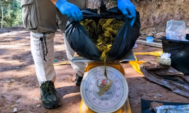 Khoảng 7 kg rác thải đã được thấy trong bụng chú nai. Ảnh: Getty Khoảng 7 kg rác thải đã được thấy trong bụng chú nai. Ảnh: Getty