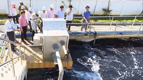 Nước thải của Công ty Dệt may Vinatex Quốc tế Toms tại khu công nghiệp Diên Sanh.