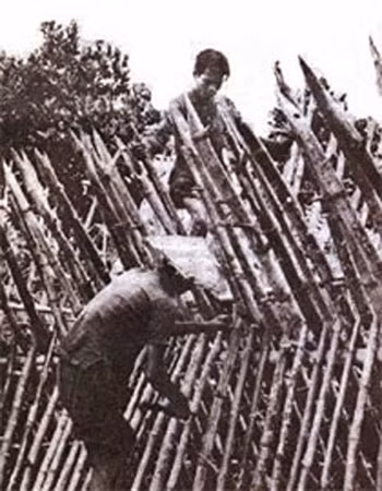 Bắt dân rào ấp để đề phòng Quân Giải phóng xâm nhập.