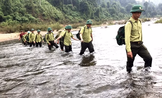 Lực lượng Kiểm lâm phối hợp cơ quan chức năng tuần tra bảo vệ rừng tại Quảng Nam.