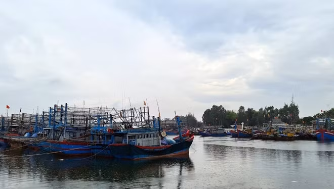 Tàu cá của ngư dân Quảng Nam vào tránh trú bão tại âu thuyền Hồng Triều.
