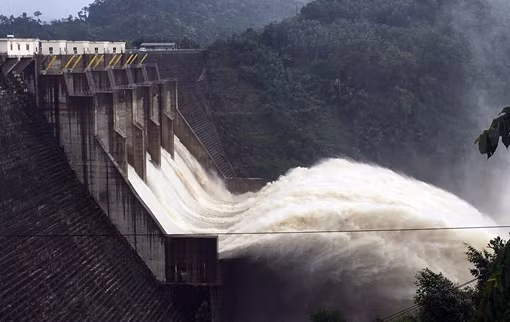Người dân đánh bắt hàng chục tấn cá trong ngày thủy điện ngưng xả tràn ảnh 3