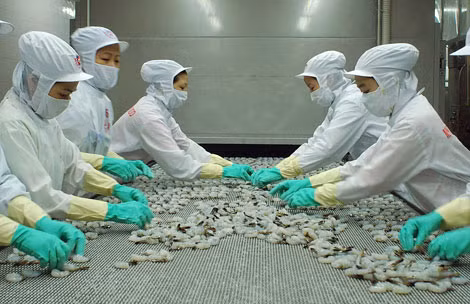 Ngành Thủy sản góp phần quan trọng vào thu ngân sách. Ngành Thủy sản góp phần quan trọng vào thu ngân sách.